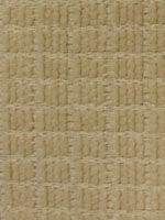 A-Nina-Cream