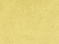 Beige3