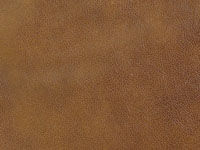 Chestnut