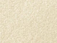 Textured Velour - Pearl