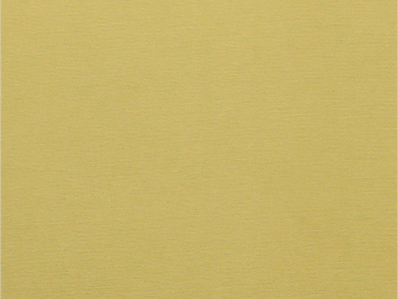 Shaneel Beige