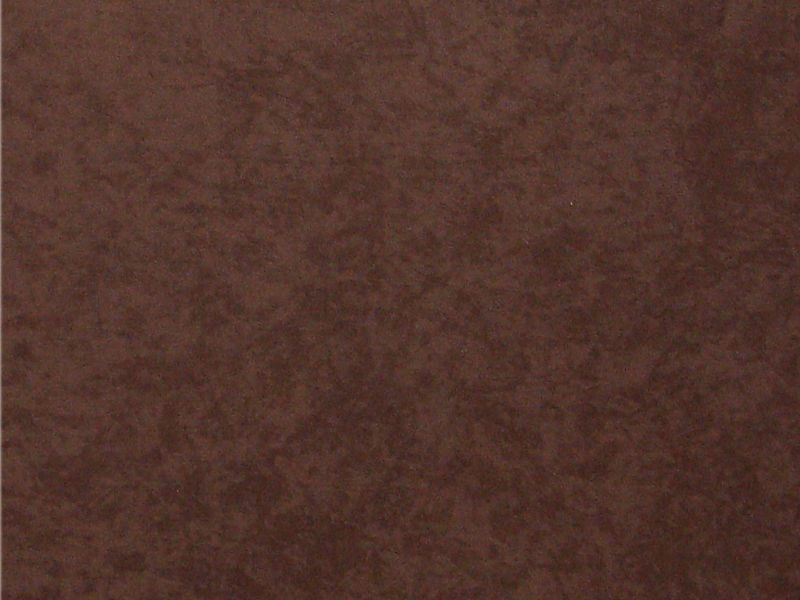 Shaneel Chocolate