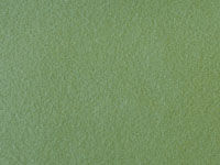 Velour Sage