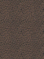 Cocoa 86