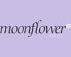 Moonflower Beds