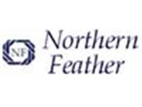 Northern Feather