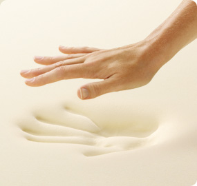 Knowledgebase Image