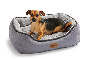 Dog Beds