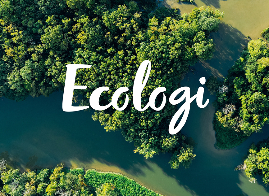 Ecologi Brand