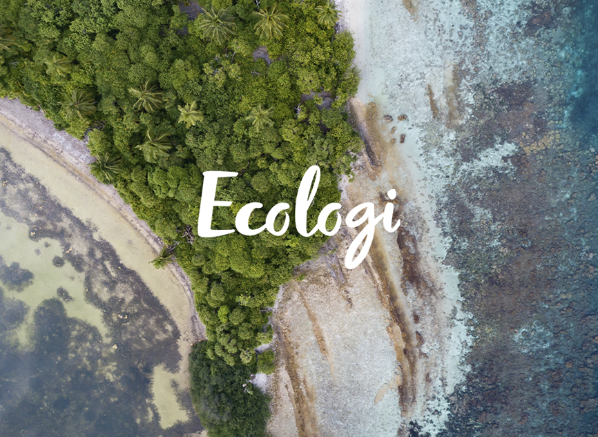 Join Ecologi