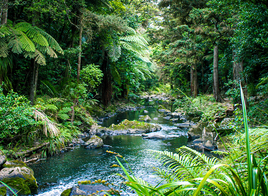 Shared Environmental Vision