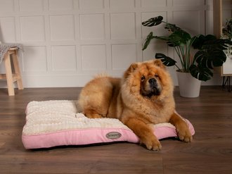 Dog beds discount large breed
