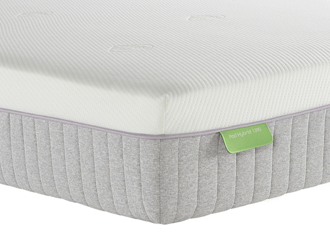 Latex foam bed prices discount