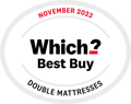 Which Best Buy November 2023