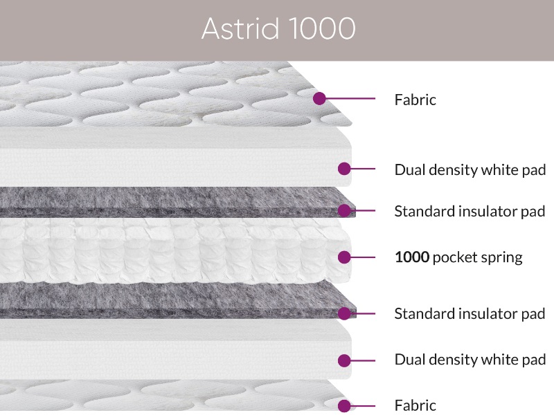 Astrid 1000 - image 4