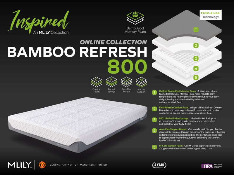 Bamboo Refresh 800 - image 4