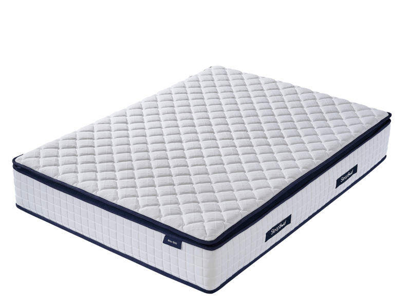 Bliss 1500 - image 8