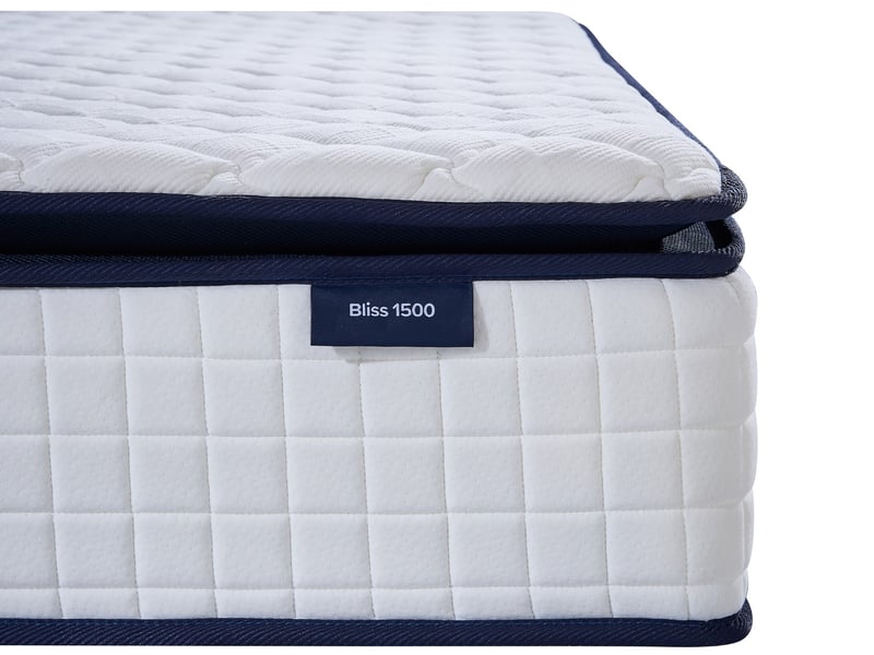 Bliss 1500 - image 5