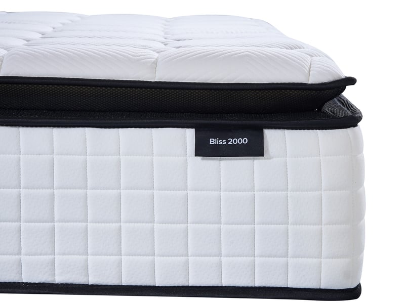 Bliss 2000 - image 5