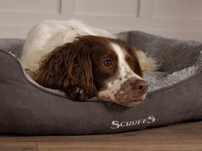 Cosy Box Bed - image 1