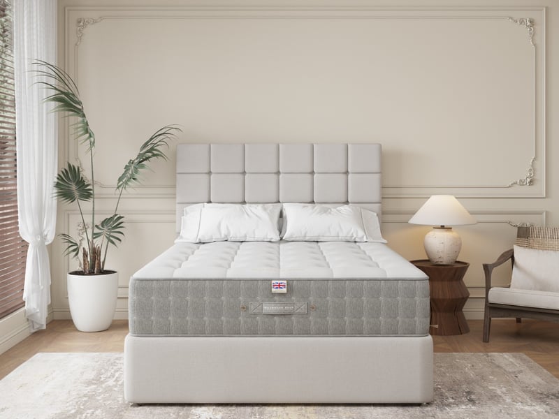 Deluxe 4500 - image 2