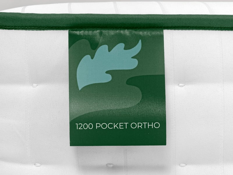 Eco 1200 Pocket Ortho - image 4