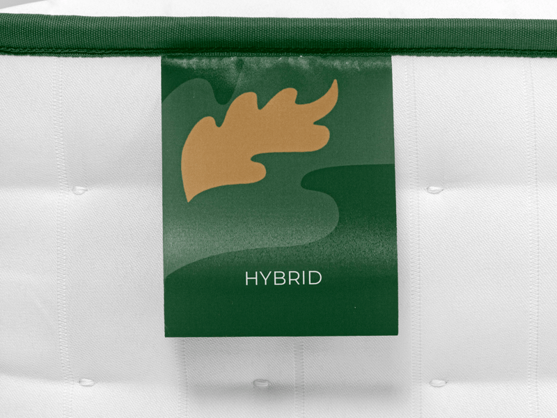 Eco Hybrid - image 4