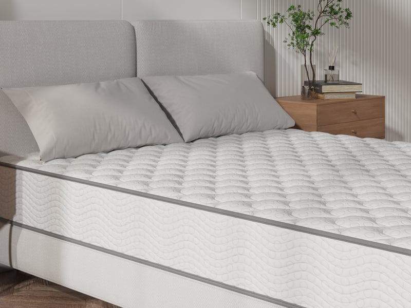 Everyday Memory Ortho - image 8