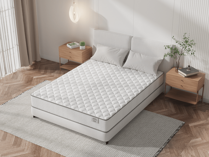 Everyday Memory Ortho - image 2