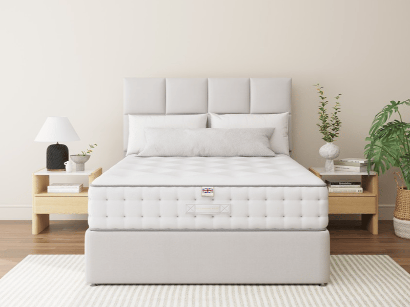 Luxury 1000 Plush - image 3