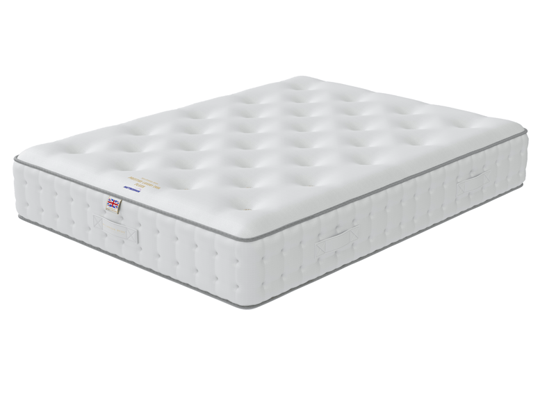 Luxury 1000 Plush - image 2