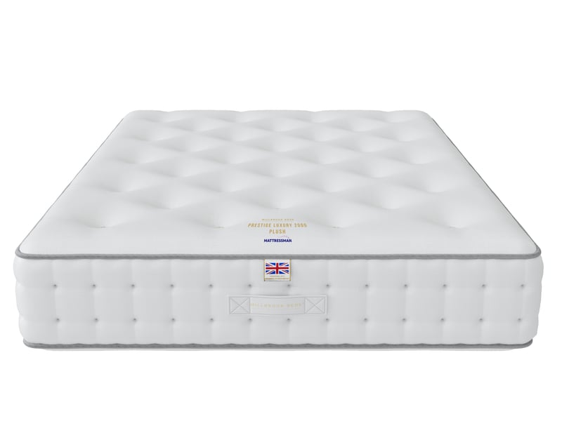 Luxury 2000 Plush - image 5