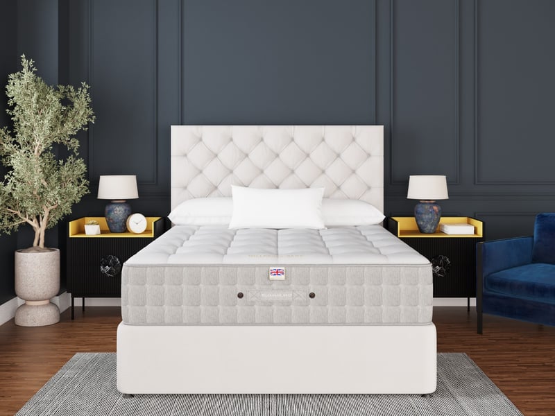 Luxury 3000 - image 2