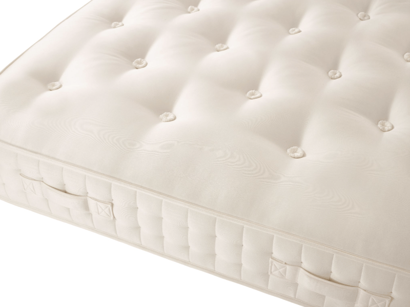 Oasis 5500 Firm - image 5