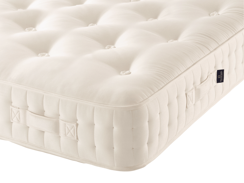 Oasis 5500 Firm - image 1