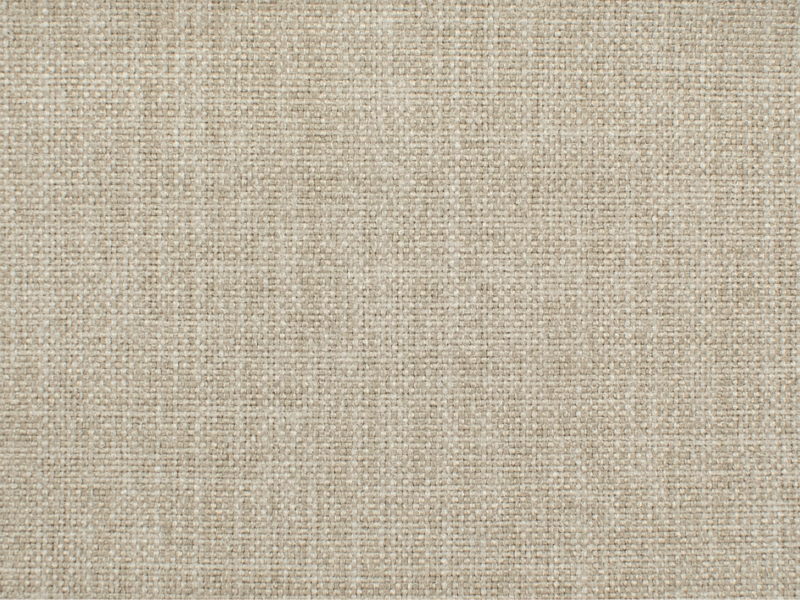 Olivia - image 7