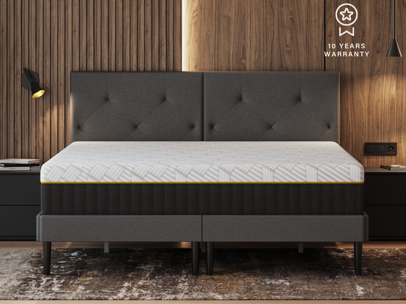 Original Elite - image 7