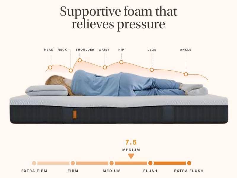 Original Pro - image 5