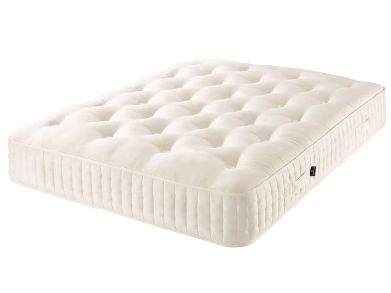 Sanctuary 9500 Medium - image 3