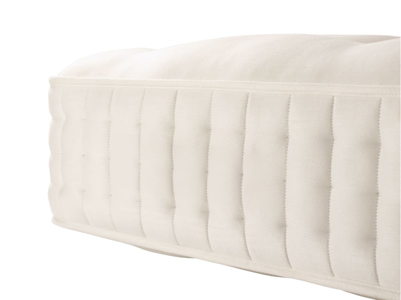 Sanctuary 9500 Medium - image 4