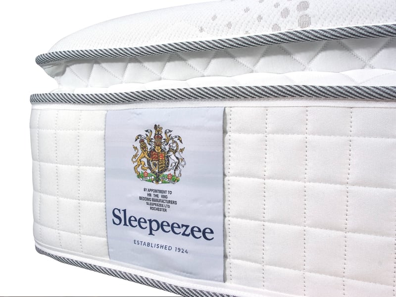 Serene 2500 - image 3