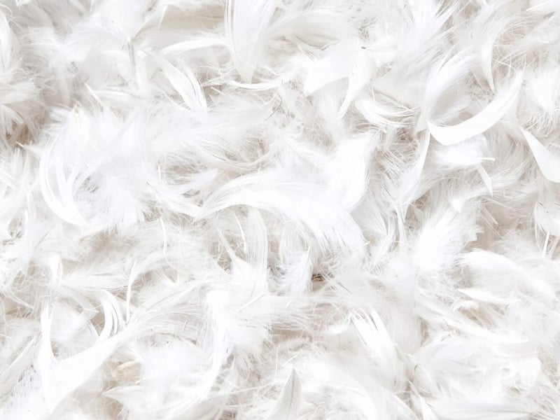 Duck Feather and Down Anti Allergy Duvet 10.5 Tog - image 5