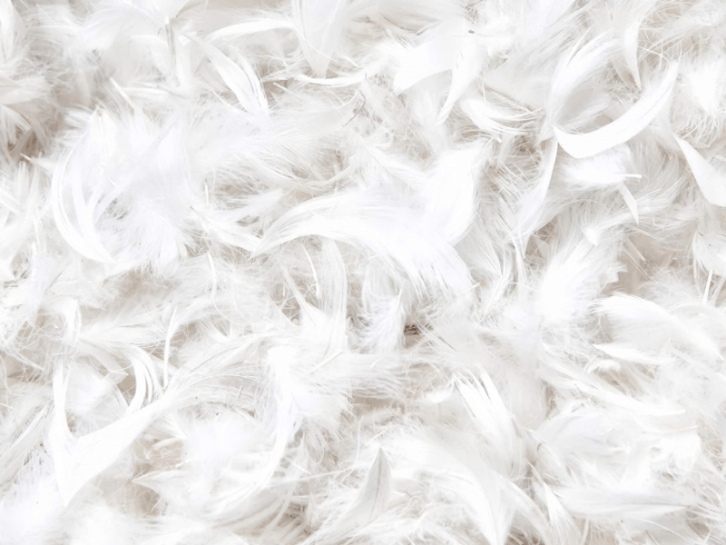 Duck Feather and Down Anti Bacterial Duvet 13.5 Tog - image 5