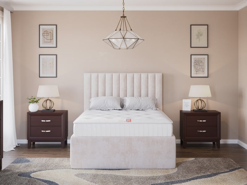 The Spare Room Ortho - image 2