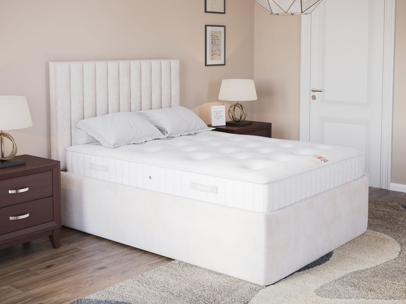 The Spare Room Ortho - image 4