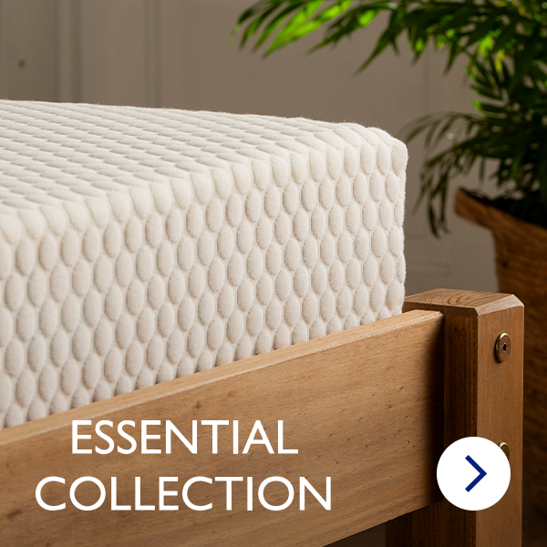 snuggle-beds Savings Box