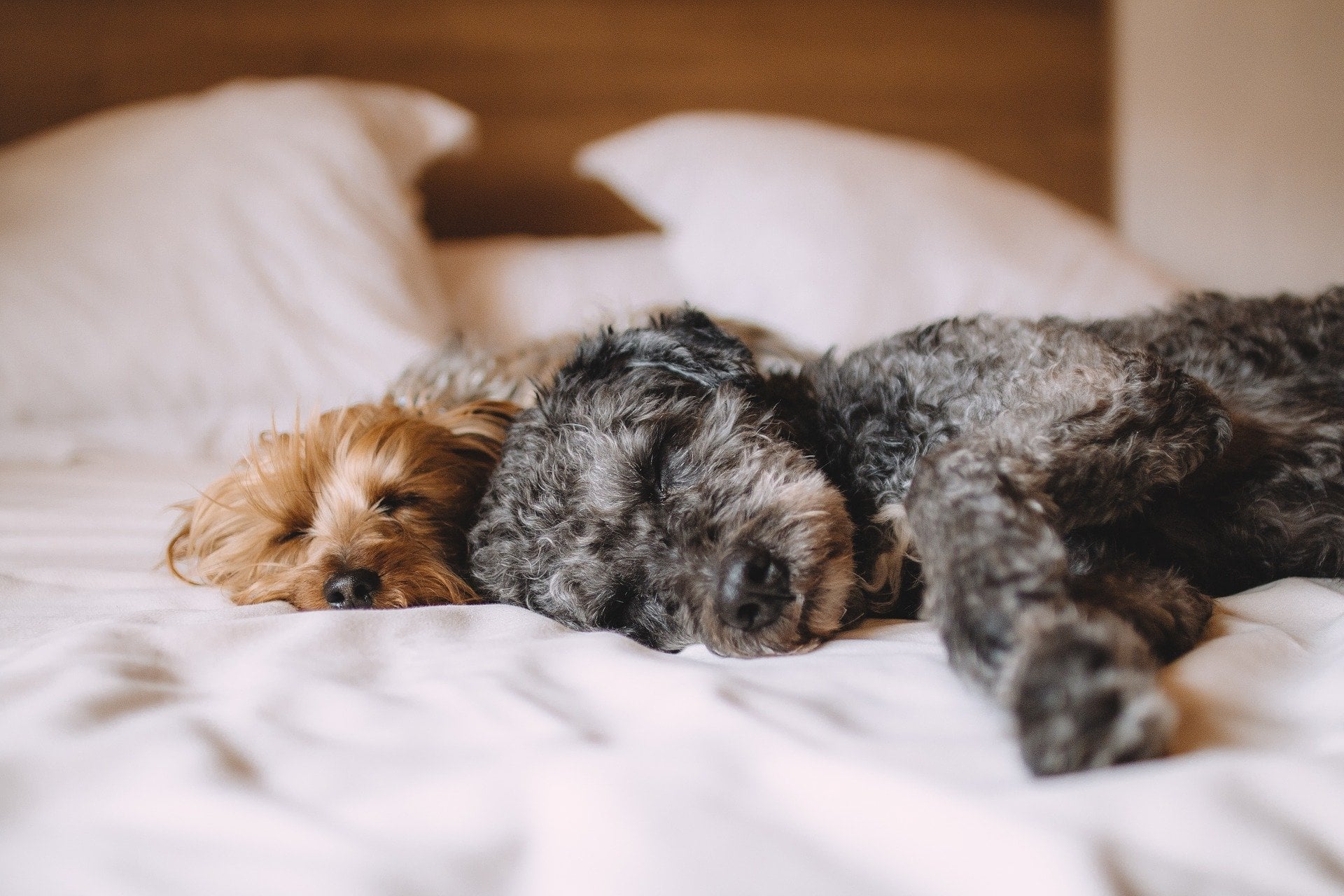 Are You Getting Enough Sleep?