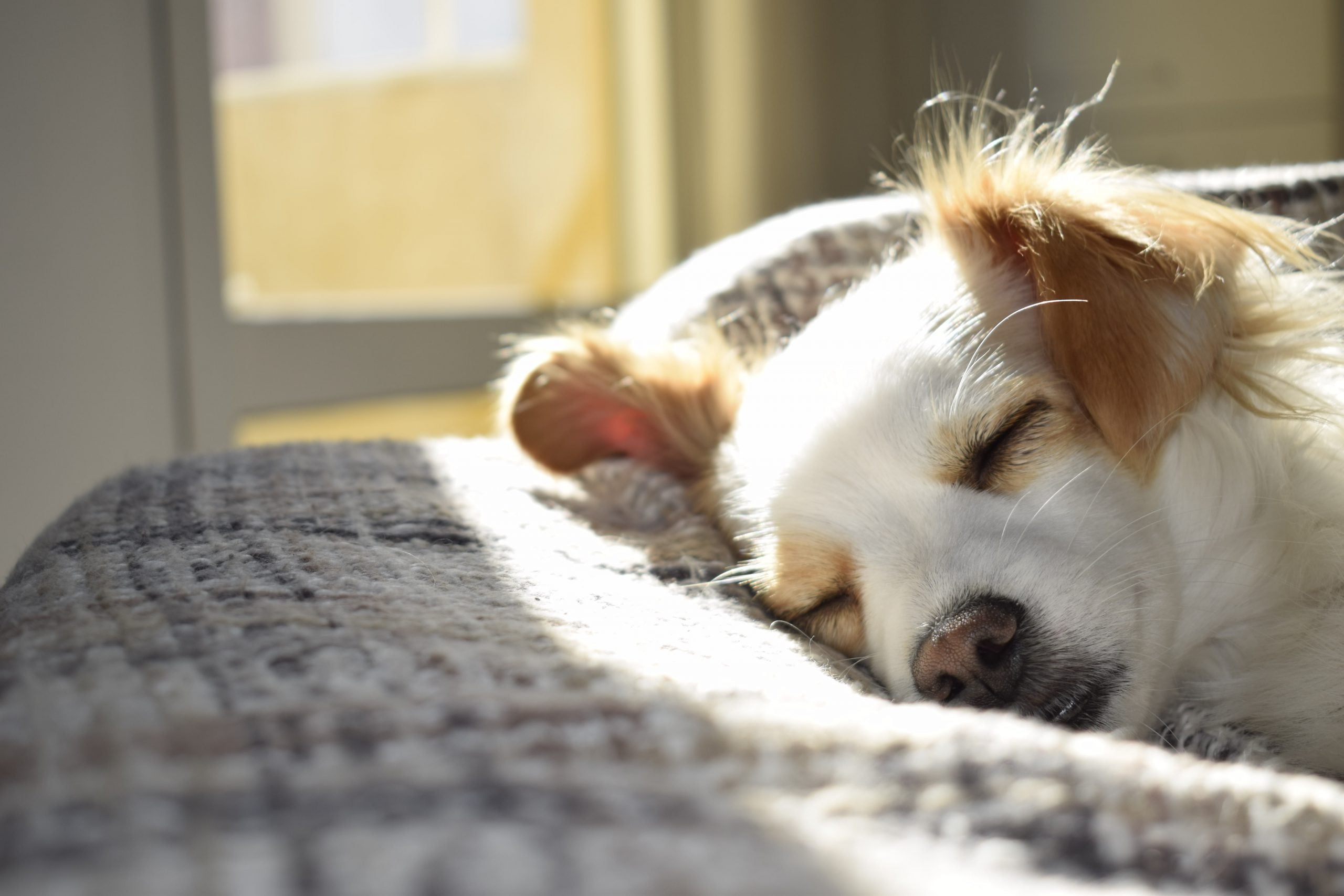 Sleep Disorders Explained