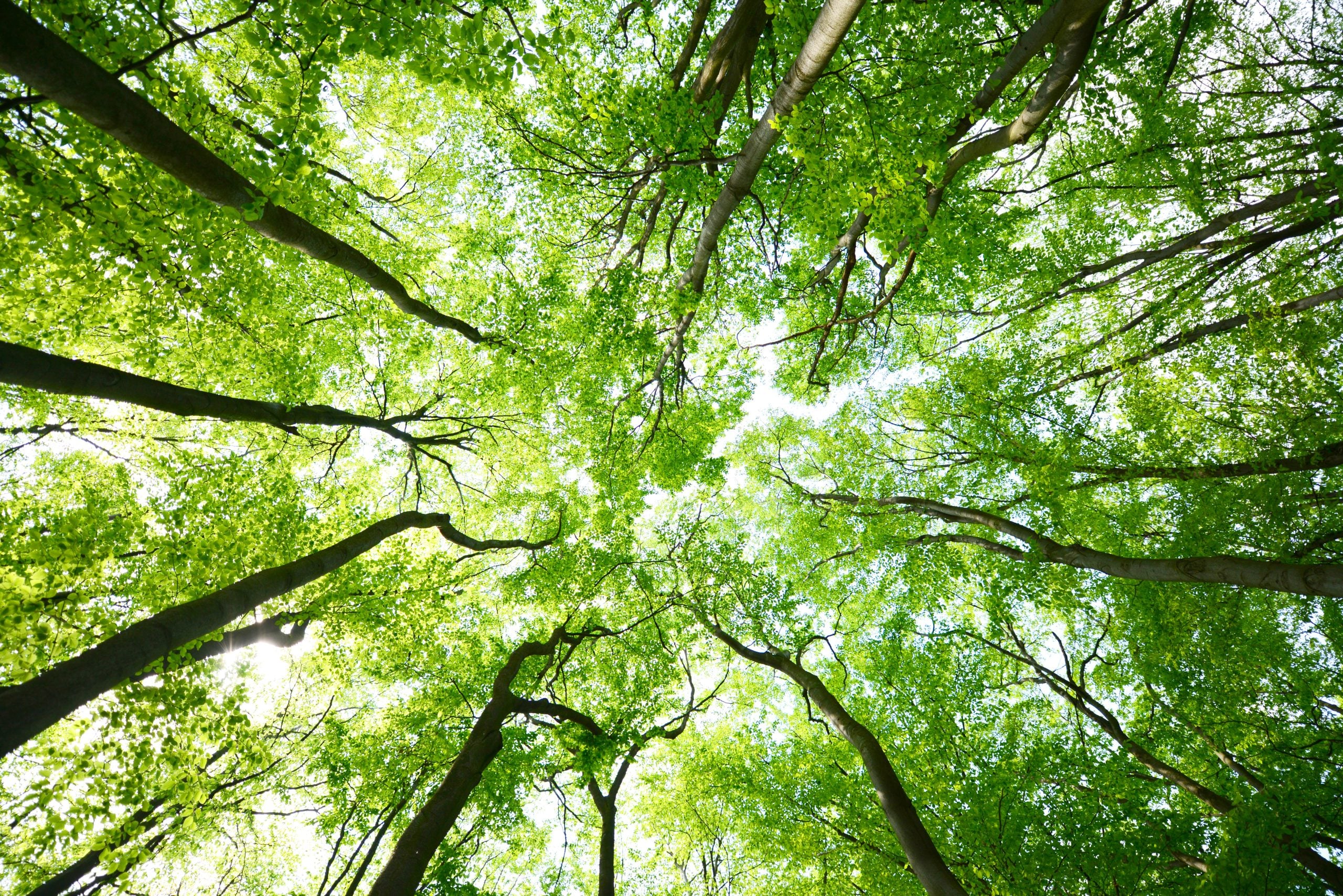 7 Ways In Which Hypnos are Driving Social and Environmental Change