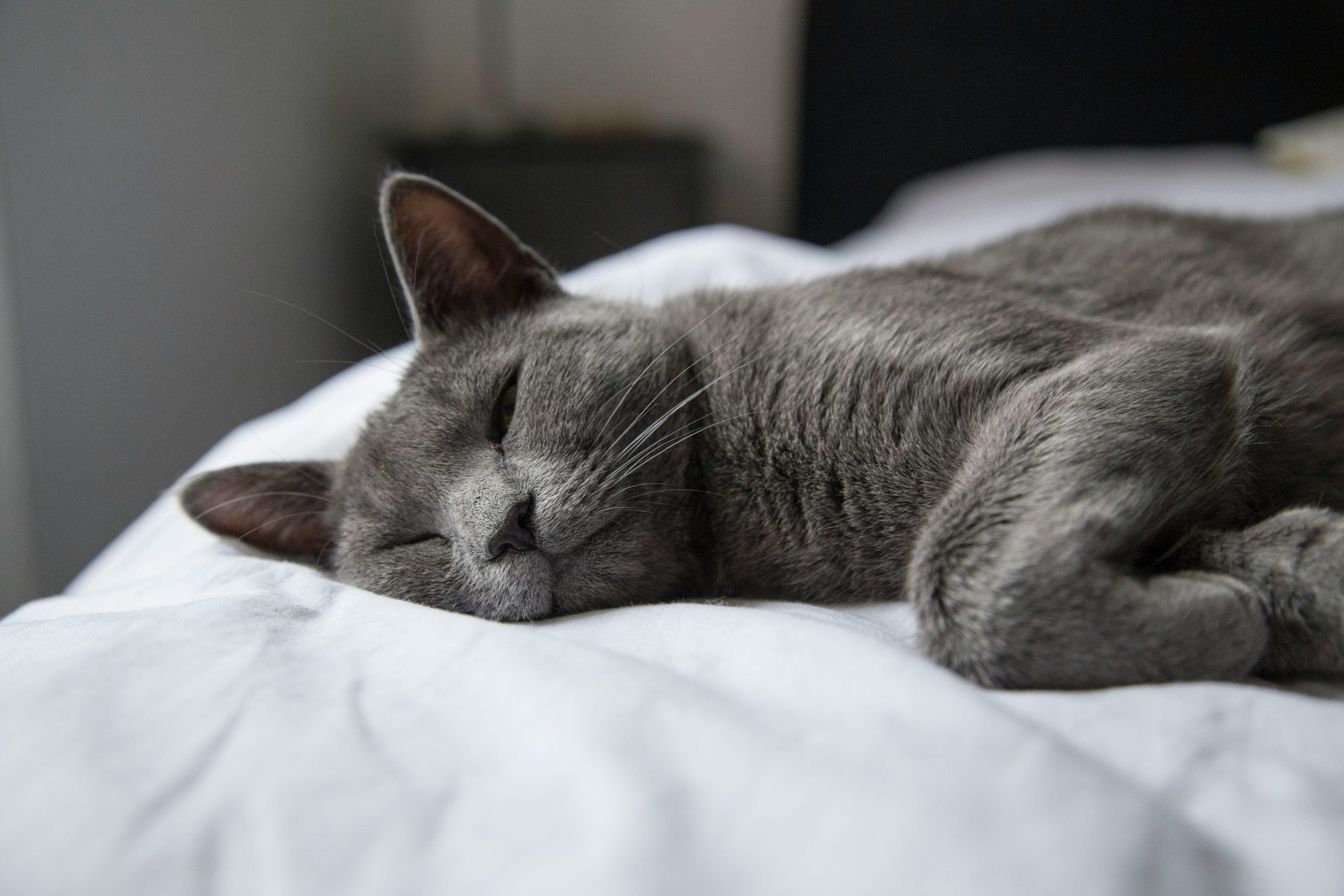 Why Am I So Restless at Night? Causes, Fixes, and the Role Your Mattress Plays